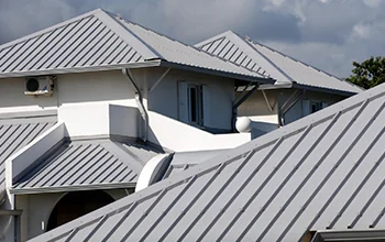 Roofing Services​